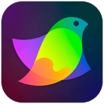 Amadine 1.4.2