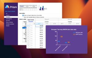 DirEqual 45 45002 | Mac Torrent